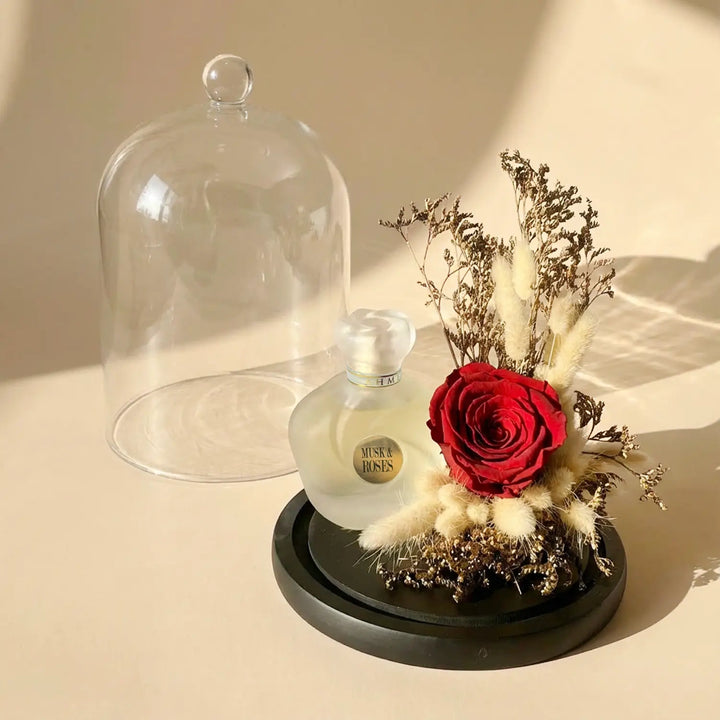Eternal Elegance: Red Preserved Rose & Musk Perfume Dome