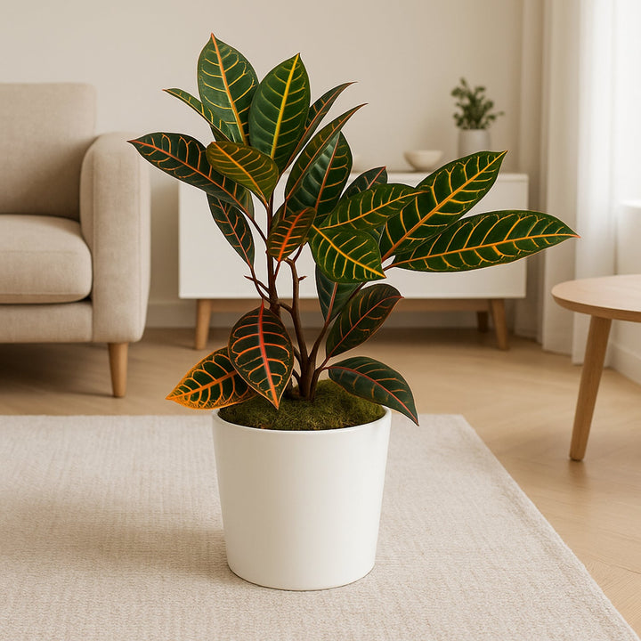 Vibrant Tropical Croton Foliage Plant in Elegant Marble Finish Pot