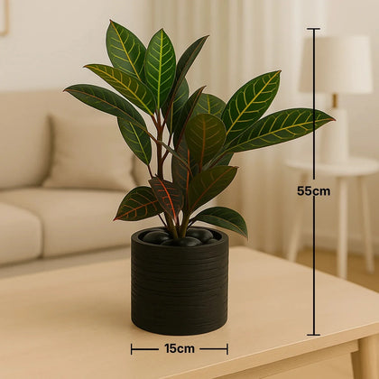 كروتون استوائي أنيق في أصيص فحمي يدوي الصنع