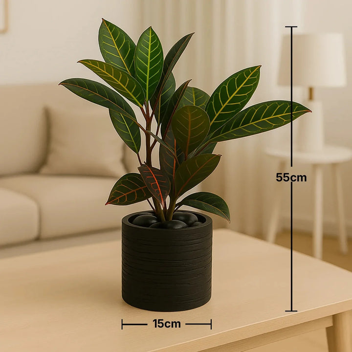 كروتون استوائي أنيق في أصيص فحمي يدوي الصنع