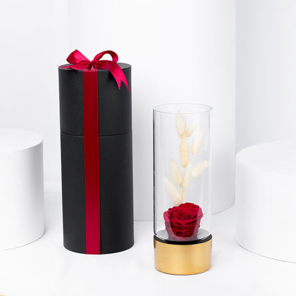 Luxury Red Forever Rose in a Gold Glass Vase