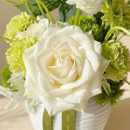 ترتيب زهور نعمة الخضار في مزهرية بيضاء أنيقة