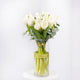 White Blooming Flowers - Fresh and Fragrant