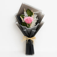 Wrapped Pink Rose Beauty