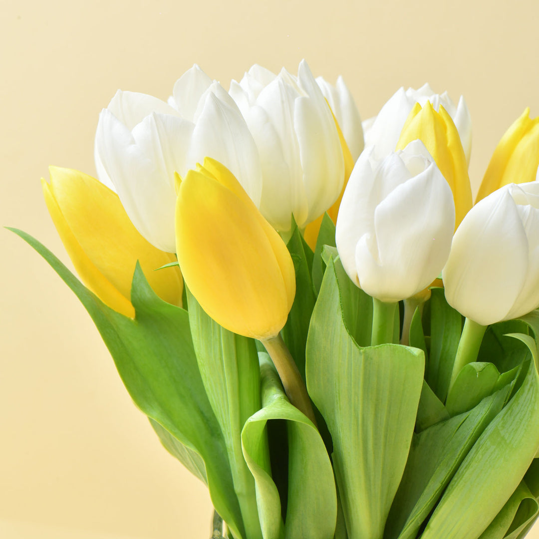 تنسيق أنيق من 20 توليب أبيض وأصفر في مزهرية زجاجية أنيقة