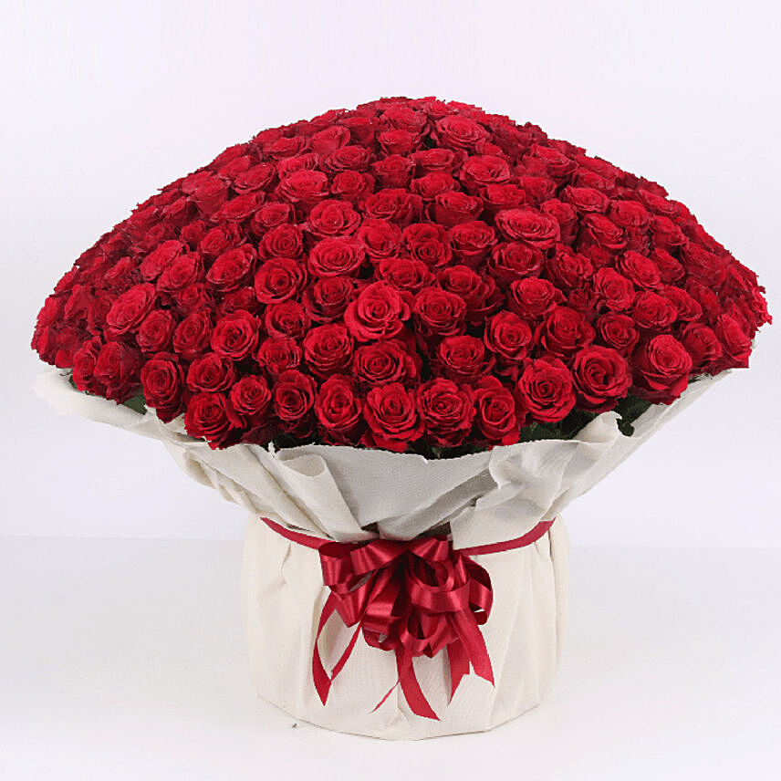 Red Roses Bouquet