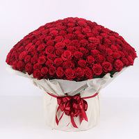 Red Roses Bouquet