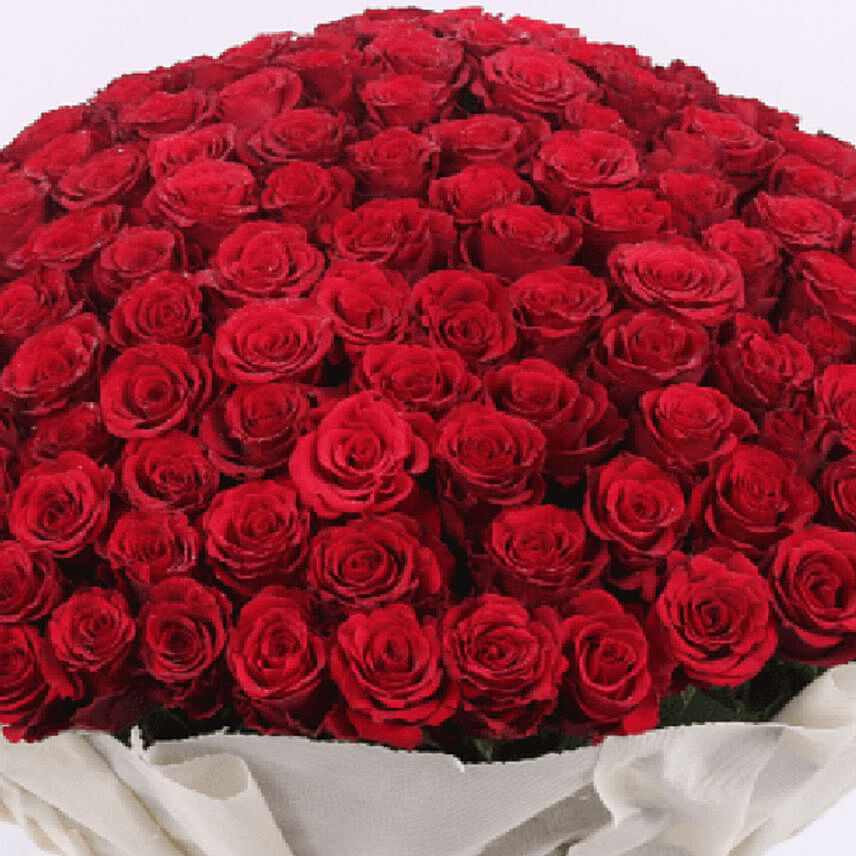 Red Roses Bouquet