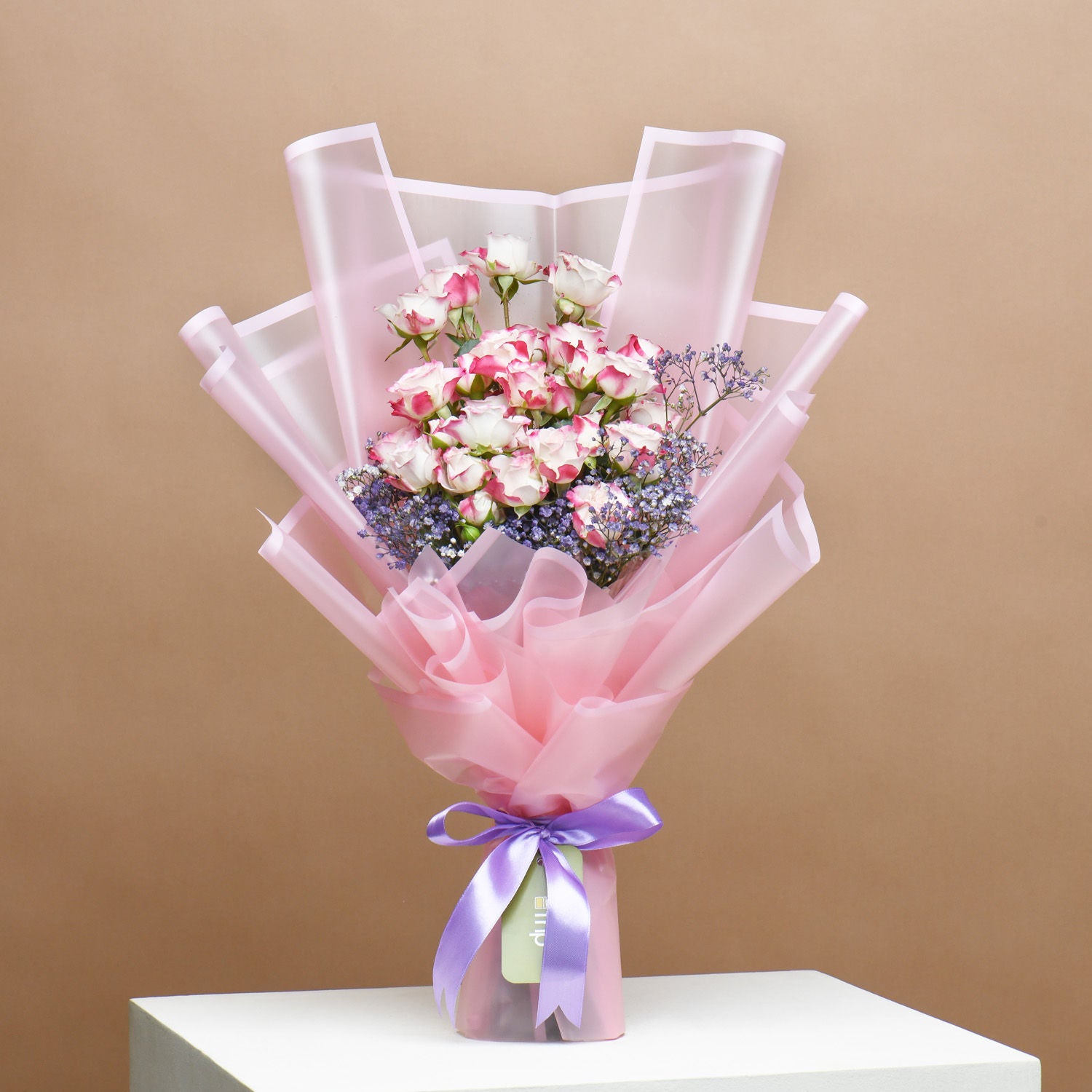 Baby Rose Symphony and Cake Delight