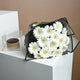 Elegant White Gerberas Bouquet with Decadent Chocolate Cake