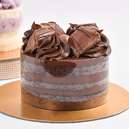 Flavorful Harmony Duo Delight Monocakes