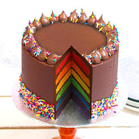Spectrum of Delight Rainbow Cake