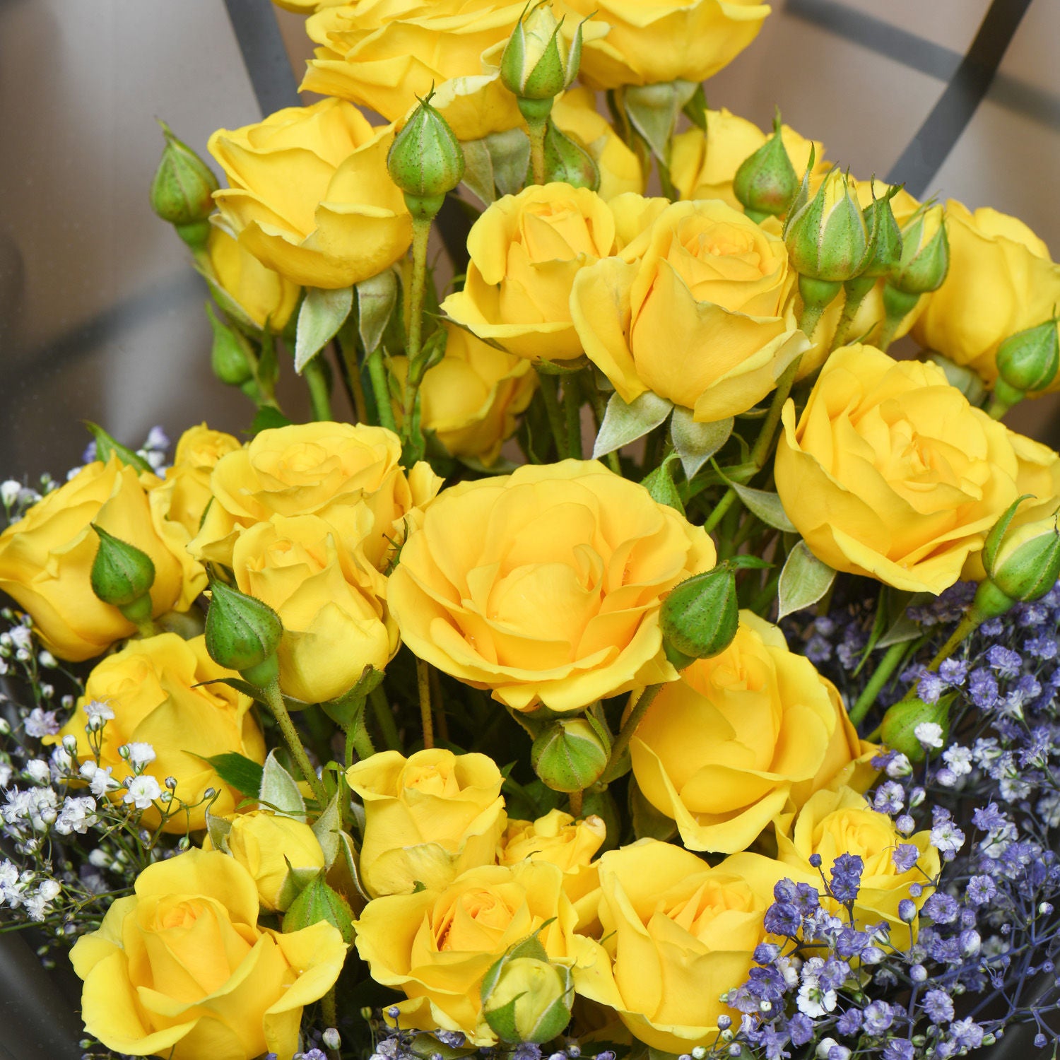Golden Twilight Roses and Cake Delight