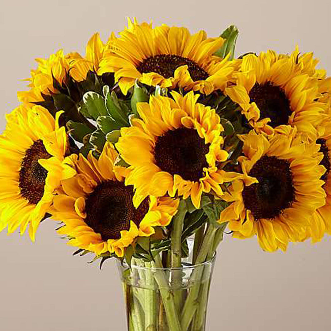 Vibrant Sunflower Glass Vase Arrangement - Radiate Joy and Warmth