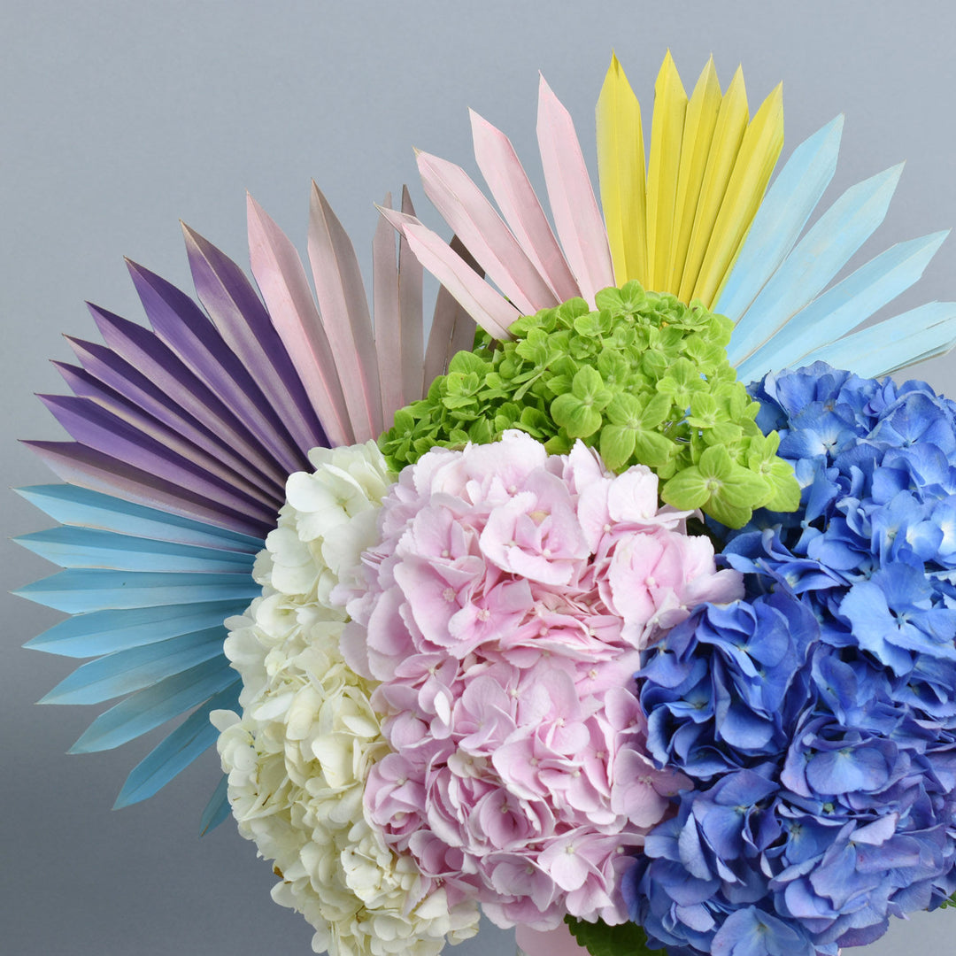 باقة جمال الكوبية الرائعة