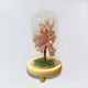 Shades of Pink Wish Tree