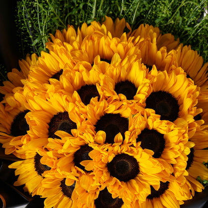 Wrapped Sunshine Bouquet